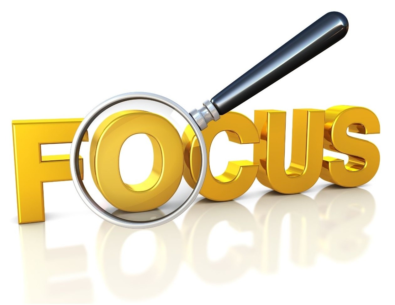 Special Focus Meetings - 1